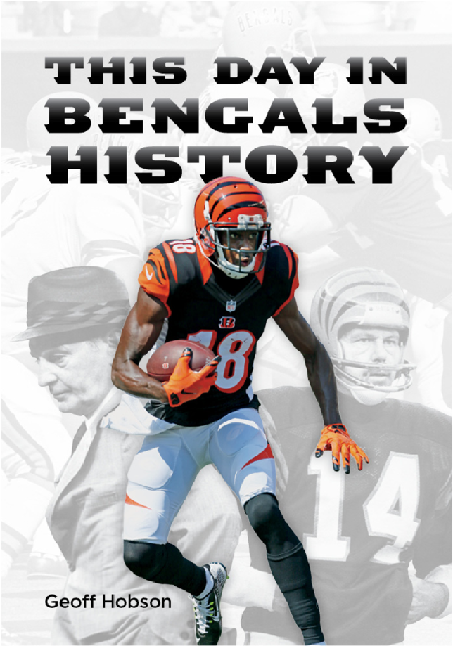 Bengals Square-16 (1000x1001), Png Download