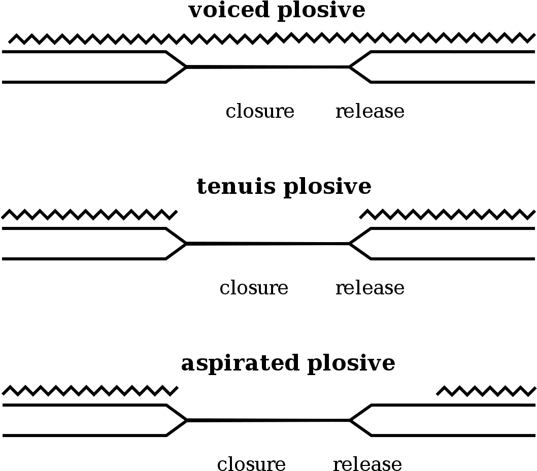 Flash Effect Inside The Phantom - Nreca (687x521), Png Download