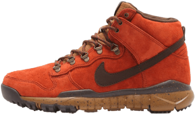 Nike Sb X Poler Dunk High Published November 18 2014 - Nike Skateboarding (500x500), Png Download