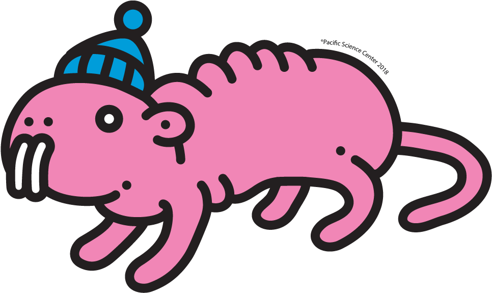 17 Jul (1080x1080), Png Download