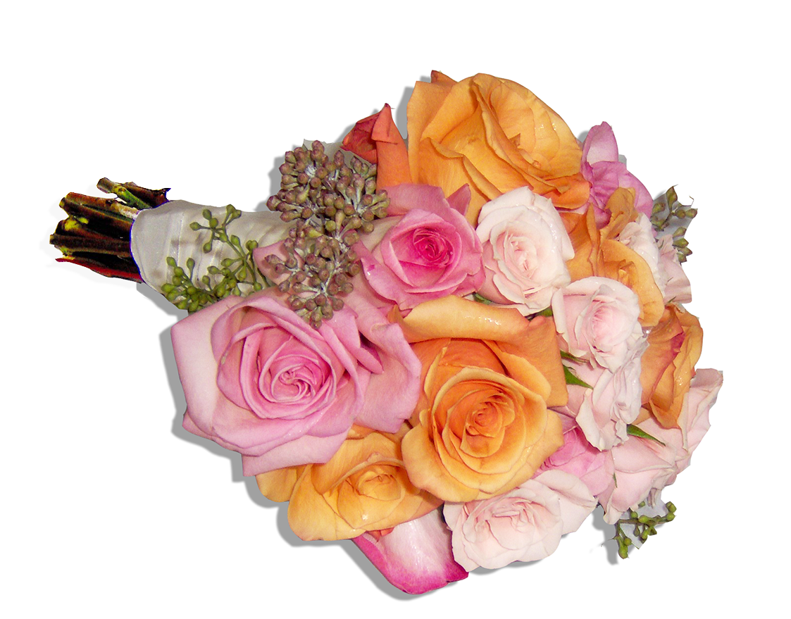 More Views - Floribunda (1123x879), Png Download