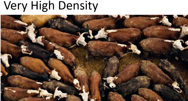 15 Steps To Success In Vhd - Feedlot (640x360), Png Download