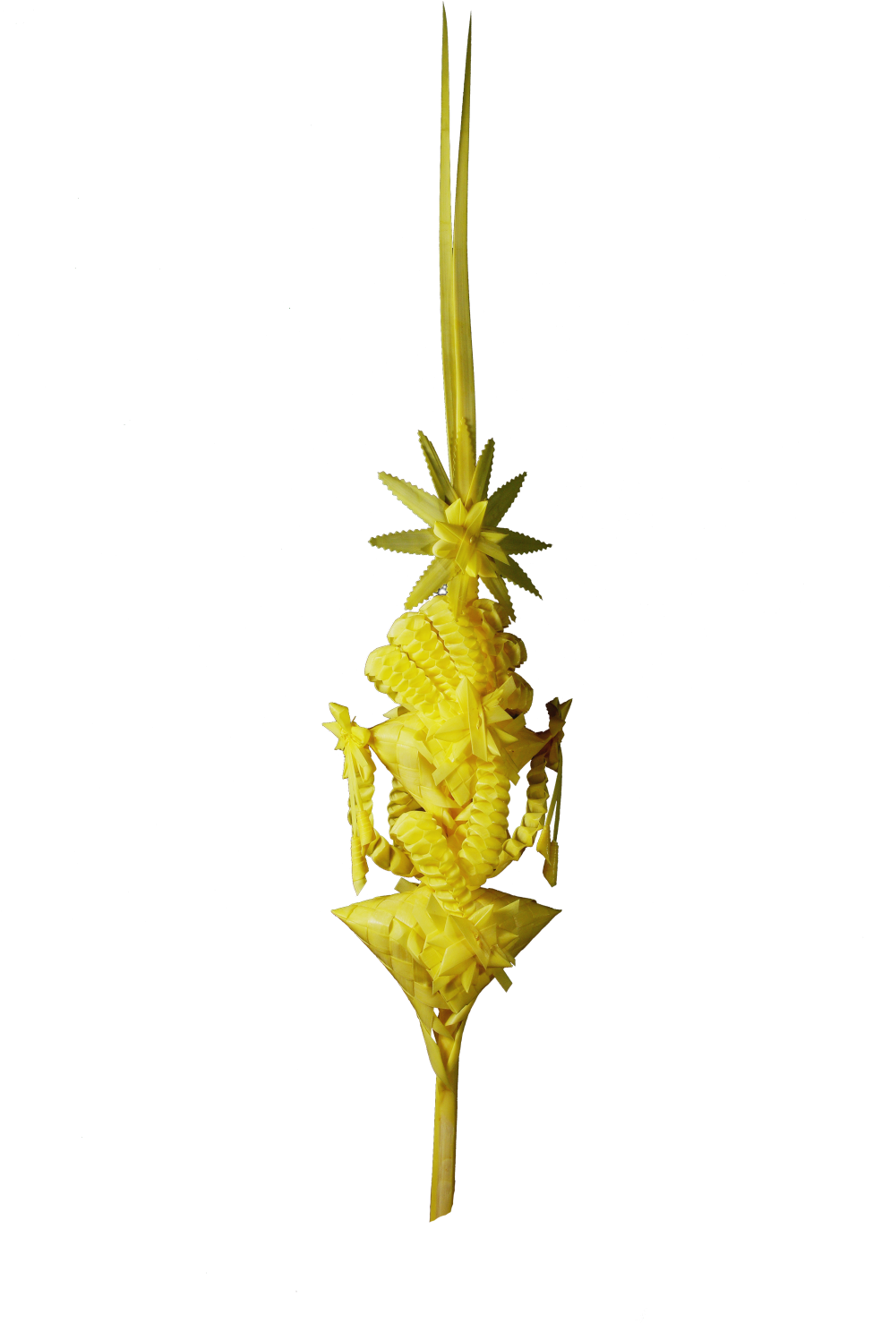 Inicio / Palmas Trabajadas - Heliconia (1000x1505), Png Download