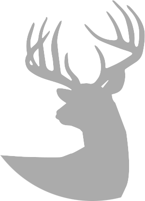 Hacienda De Las Palmas • Hunting And Fishing - Saw Blade Cut Outs (300x416), Png Download