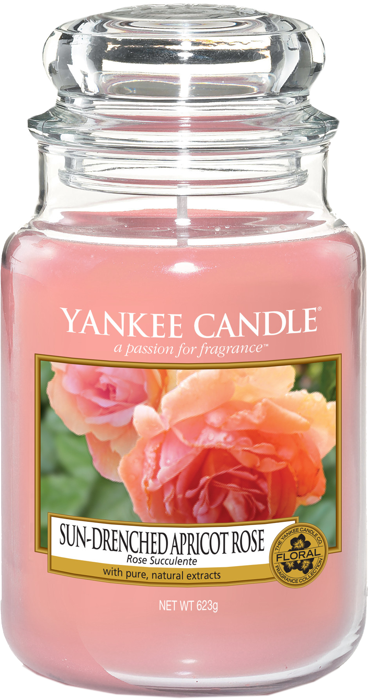 Rose Succulente Bougie Grande Jar Yankee Candle - Yankee Candle Crackling Wood Fire Classic Large Jar (1704x2776), Png Download