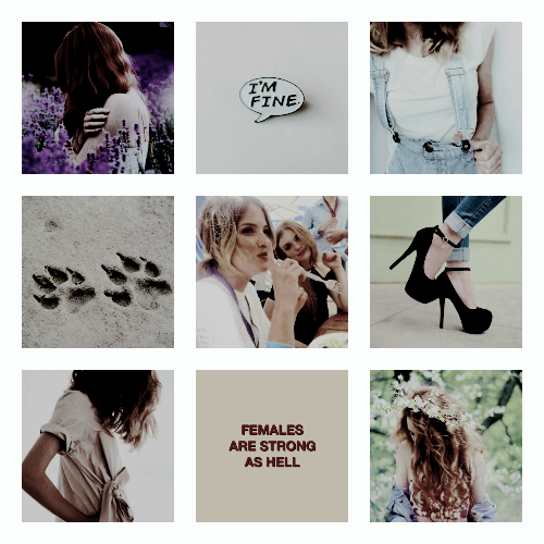 Malydia Lydia Martin Aesthetic Malia Tate Aesthetic - Females Are Strong As Hell Note Cards (500x500), Png Download