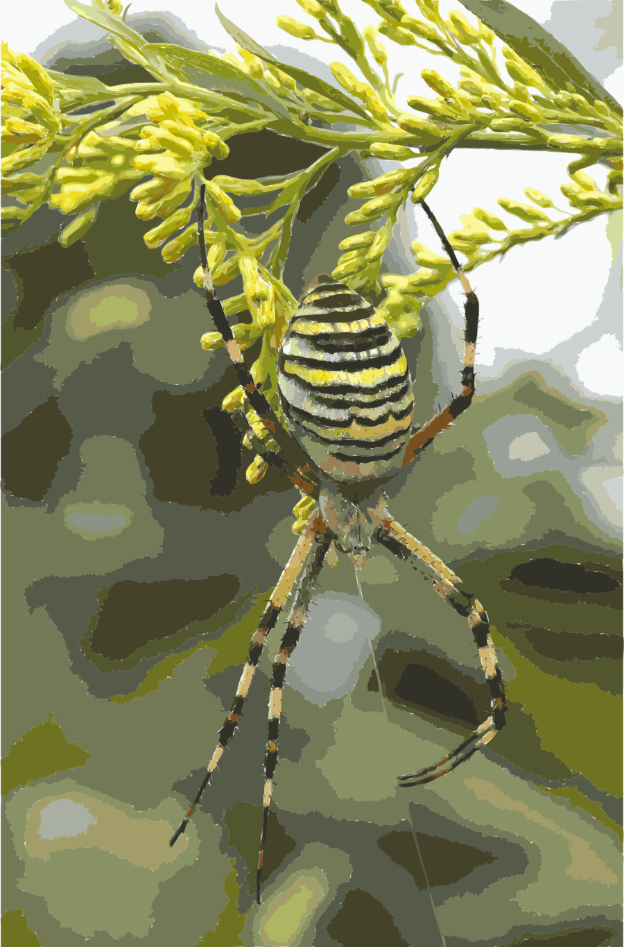 Download Yellow Black And White Spider Clipart Yellow - Yellow Black And White Spider (900x1365), Png Download