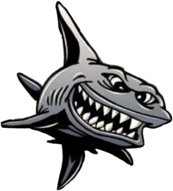 Charter Fishing In Beautiful Brunswick Ga ,,mad Shark - Mad Shark Charters (400x403), Png Download