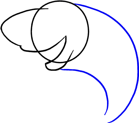 How To Draw Shark - Linea Del Tiempo (678x600), Png Download