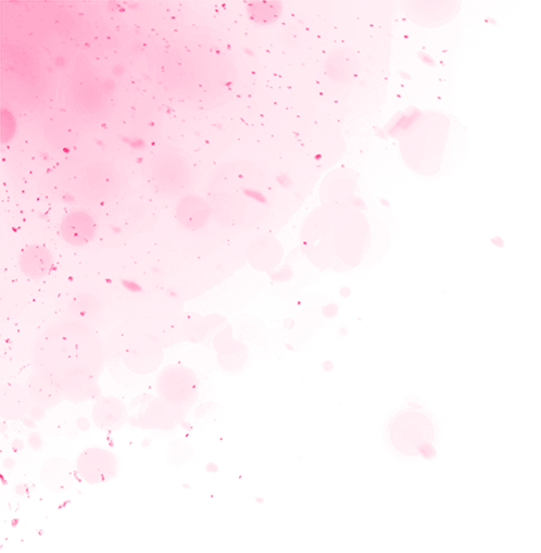Bump Hunters - Cherry Blossom (498x509), Png Download