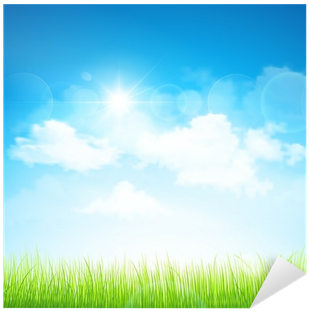 Grass (400x400), Png Download