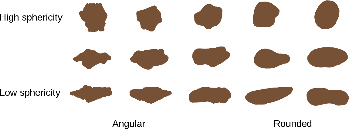 Sediment Grain Has Been Transported Farthest (1200x501), Png Download