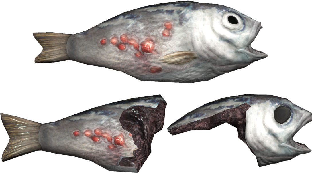 Fo4 Fish - Portable Network Graphics (1143x726), Png Download