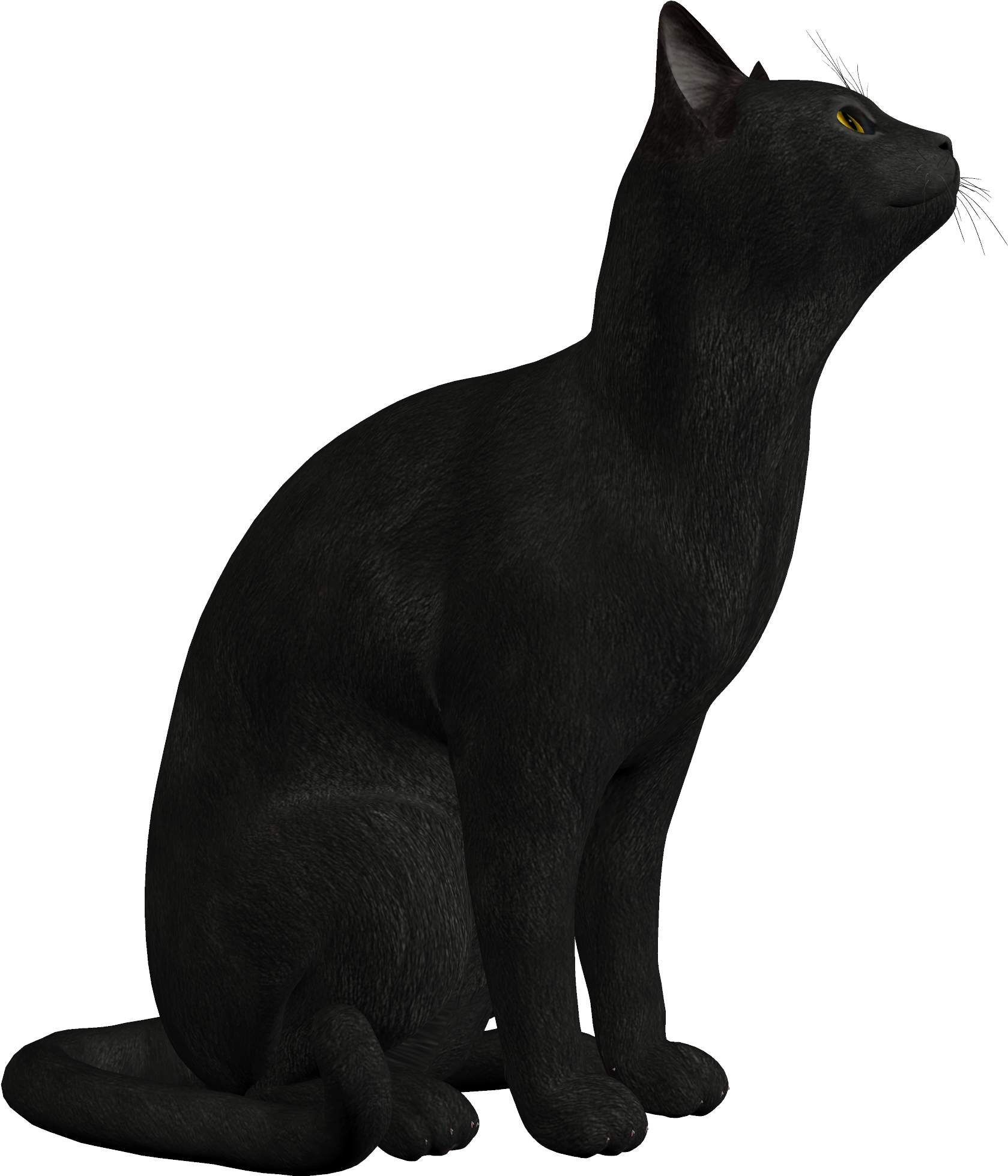 Black Cat Png Clipart - Black Cat Png (1745x2000), Png Download