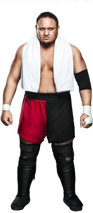 Samoa Joe Wwe (320x728), Png Download