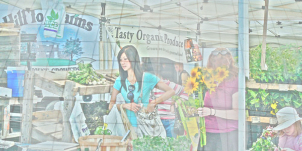 Floral Design (600x300), Png Download