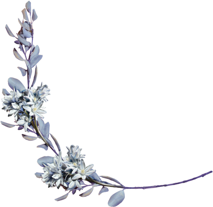 Vintage Flower Png (900x823), Png Download