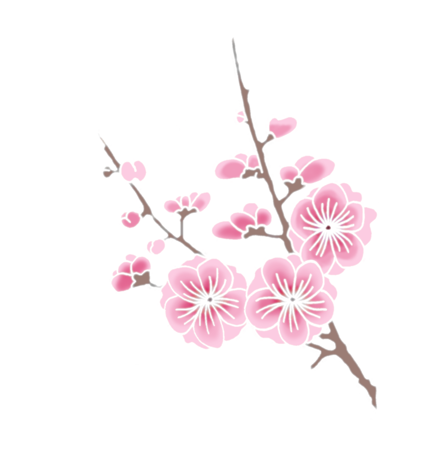 Cherry Blossom - Pink Cherry Blossom Clipart Png (871x917), Png Download