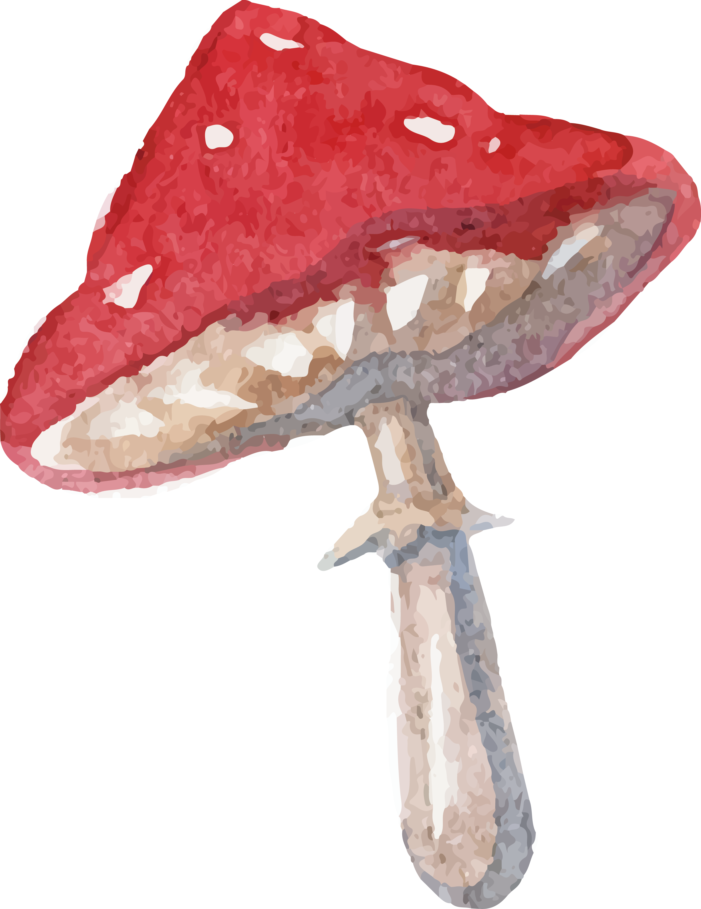 Drawn Mushroom Person - Alice In Wonderland Mushroom Drawing (2393x3102), Png Download