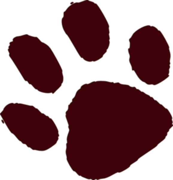 Paw Print Vector - Brown Paw Print (578x600), Png Download