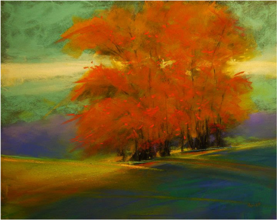 Dancing Light Of Eccentricity - Wake Forest University (791x432), Png Download