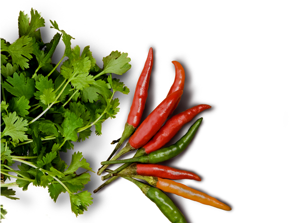 Food Png High-quality Image - Food Png From Top (730x454), Png Download