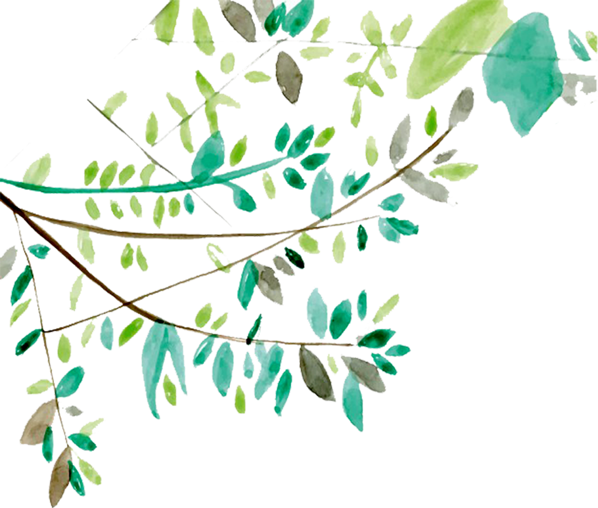 Ftestickers Watercolor Leaves Vines Greenery - Tree Branch Watercolor (1205x1024), Png Download