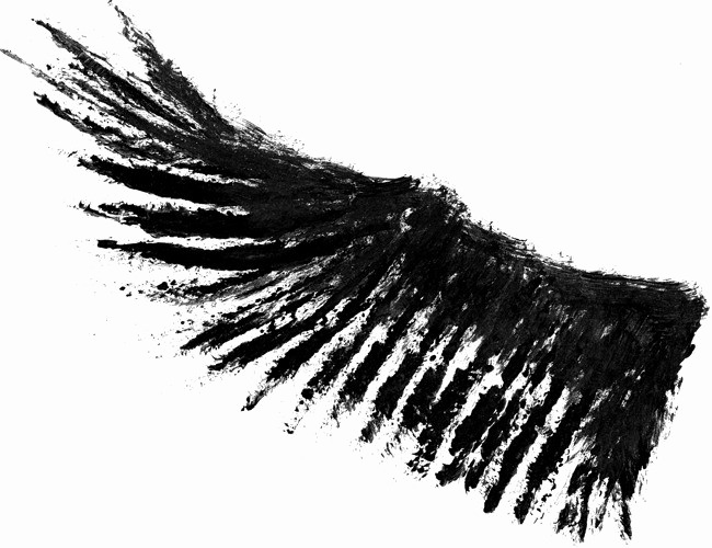 Half Wings Png Photos - Wings Photo In Png (650x500), Png Download