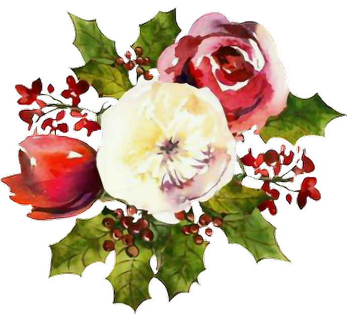 Christmas Flowers Watercolors Sticker - Christmas Flowers Watercolours Png (690x626), Png Download