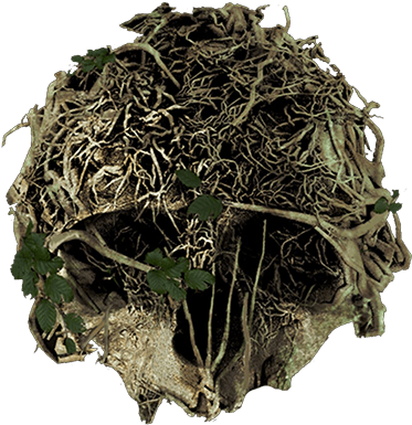 Forest Game Png (400x400), Png Download