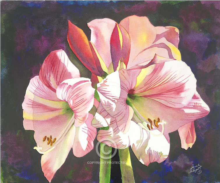 Graphic Download Anne Abgott World Renowned - Watercolor Painting (1000x630), Png Download