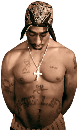 Thug Life, Hip Hop Rap, Life Photo, Photo Booths, Tupac - Tupac Transparent (320x424), Png Download