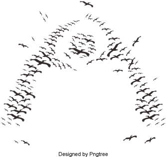 Hand Painted Black And White Birds Group Design Vector - White (360x360), Png Download