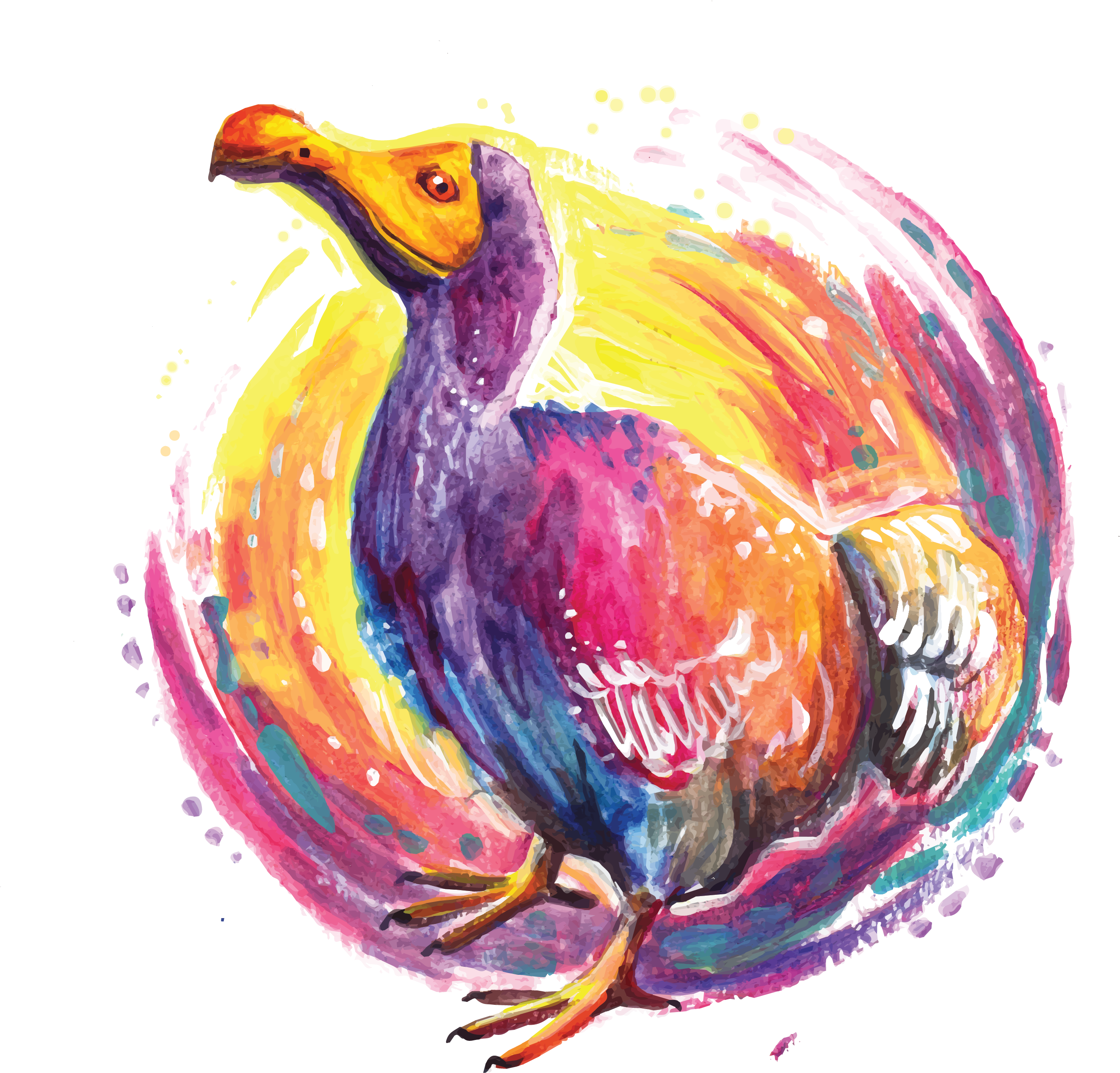 Flightless Bird (3000x3000), Png Download