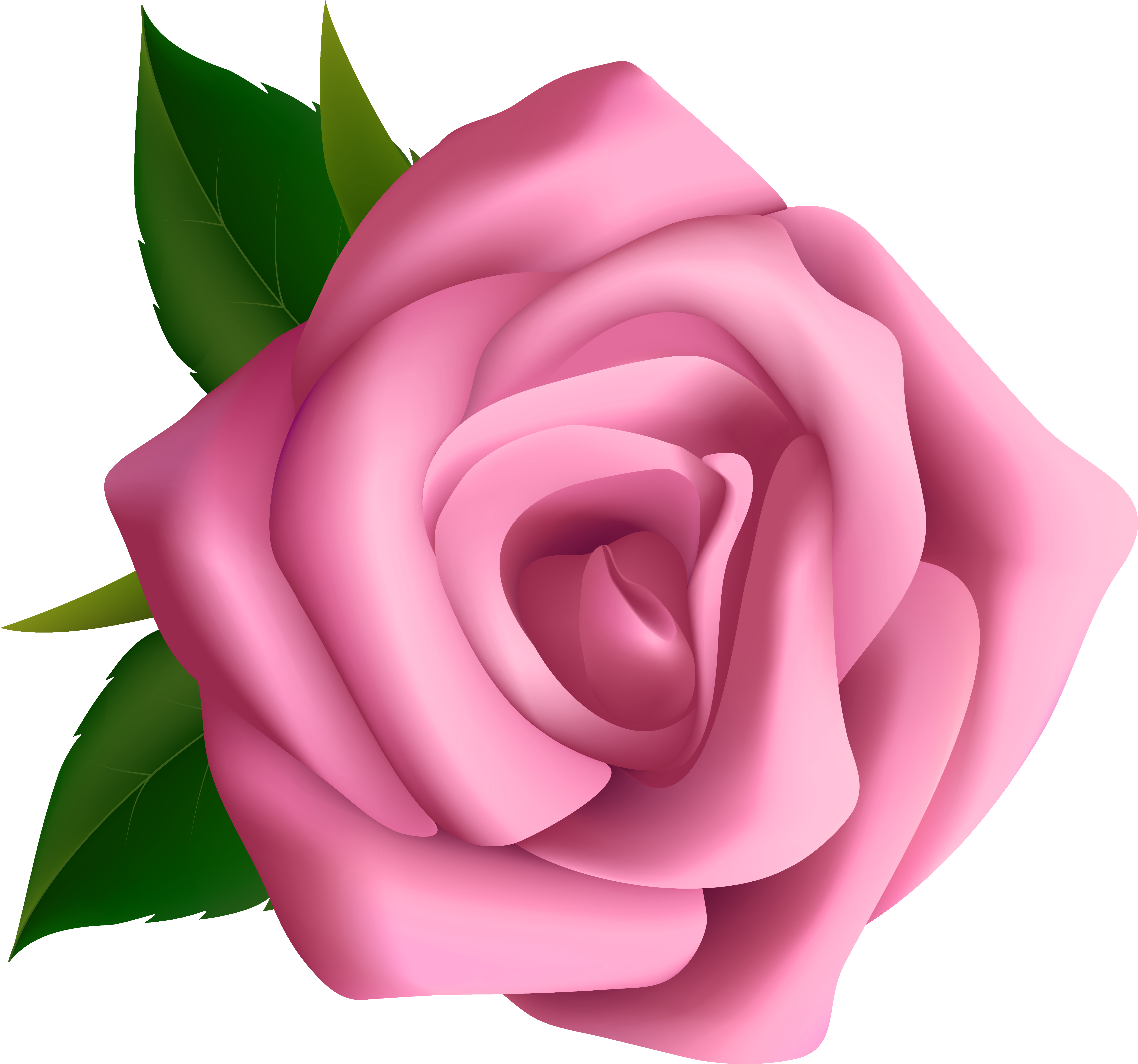 Soft Pink Rose Clipart Png Image - Pink Rose Clip Art (6268x5859), Png Download