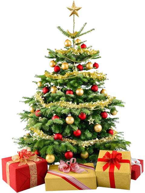 Christmas Tree Png - Christmas Tree No Background (495x647), Png Download