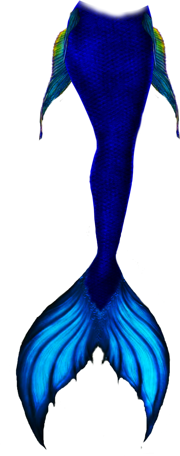 Sketch Mermaid Tail Draw (1024x2048), Png Download
