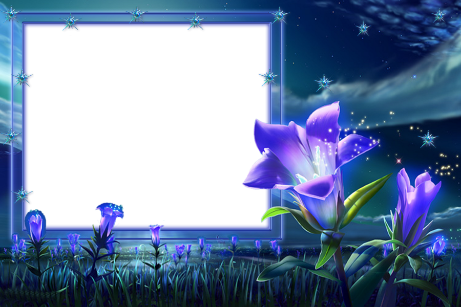 Allywit 5d Embroidery Paintings Rhinestone Pasted Diy - Blue Flowers Frames Png (900x600), Png Download