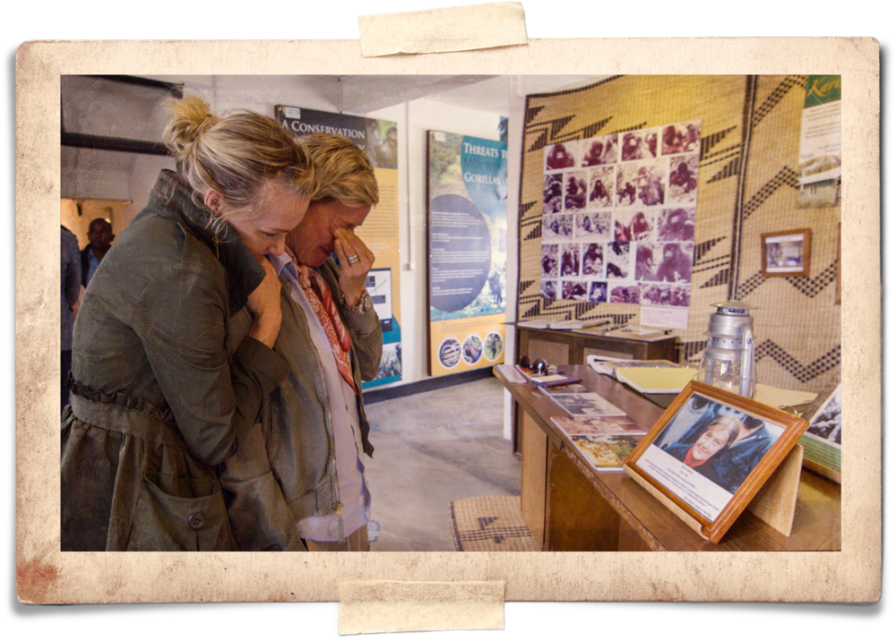 I Actually Got To Sit At Dian's Desk The Exact Same (1000x716), Png Download