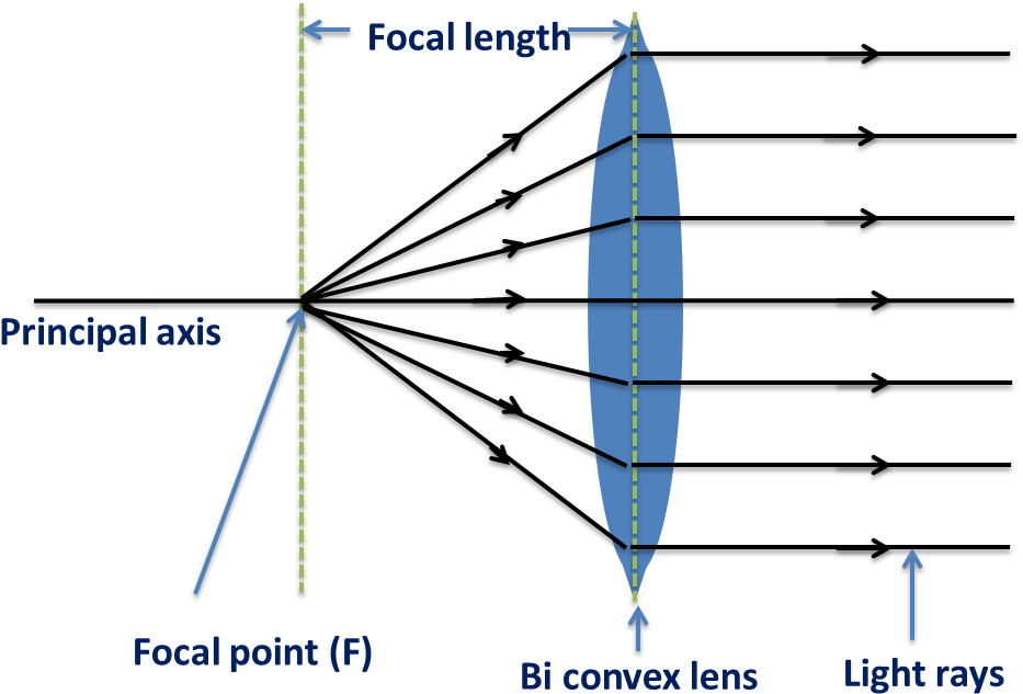 Biconvex Lens-behaviour Of Light Rays From Focal Point - Biconvex (974x664), Png Download