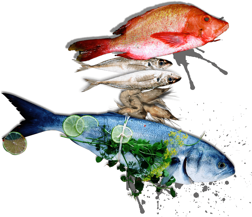 Welcome To - Catfish (840x724), Png Download