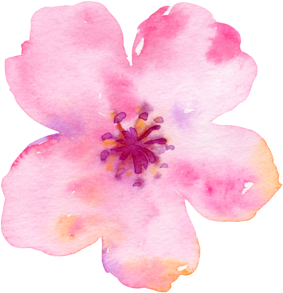 This Backgrounds Is Cherry Blossom Falling Cartoon - Png Image Transparent Background Cherry Blossom (1024x1018), Png Download