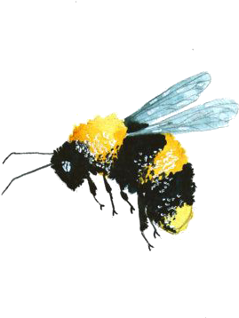 Bees Transparent Watercolor Png Freeuse Library - Watercolor Bees Transparent Background (373x377), Png Download