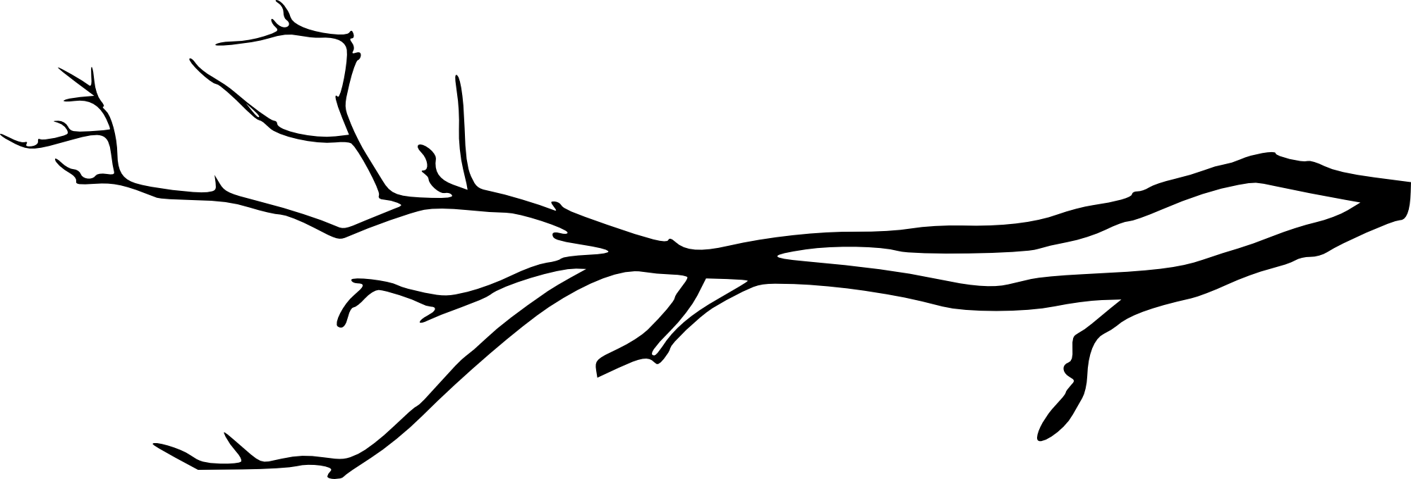 Free Png Simple Tree Branch Png Images Transparent - Tree Branch Png (850x289), Png Download