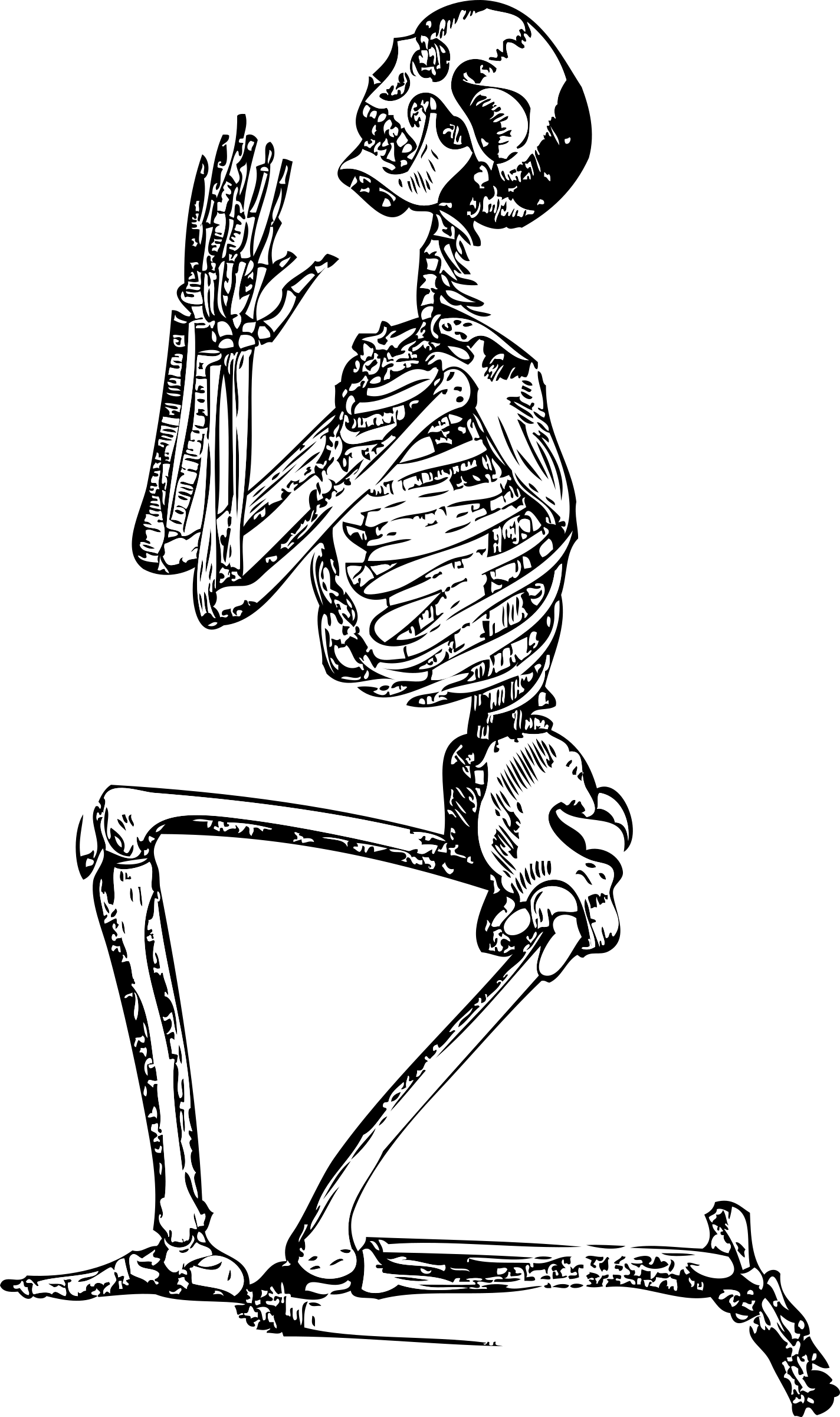 Skeleton-33847 - Skeleton Clip Art (759x1280), Png Download