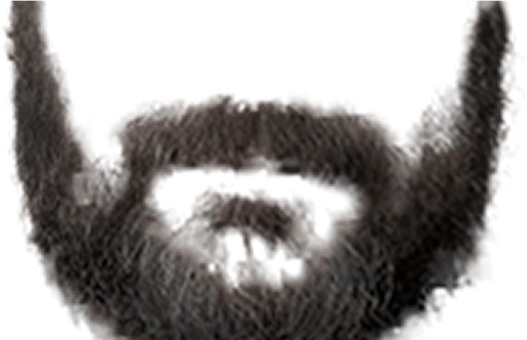 Moustache Styles Png Transparent Moustache Stylespng (800x491), Png Download