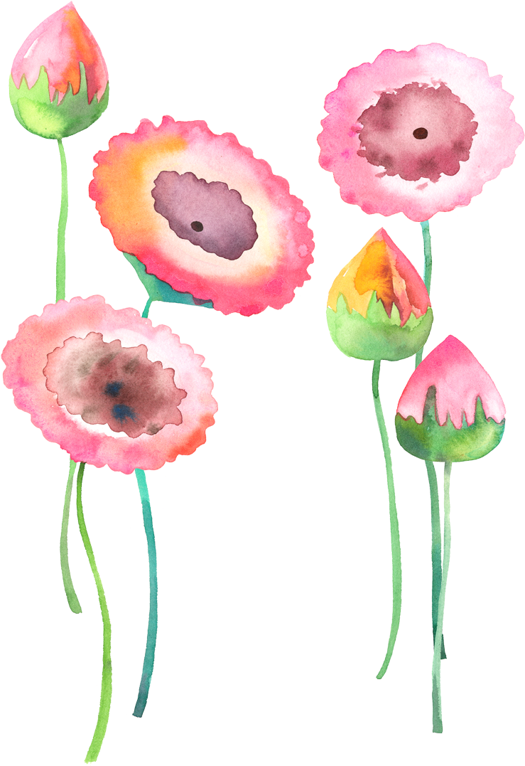 Png Royalty Free Library Watercolour Flowers Watercolor - Watercolor Flower Watercolour Png (1181x1181), Png Download