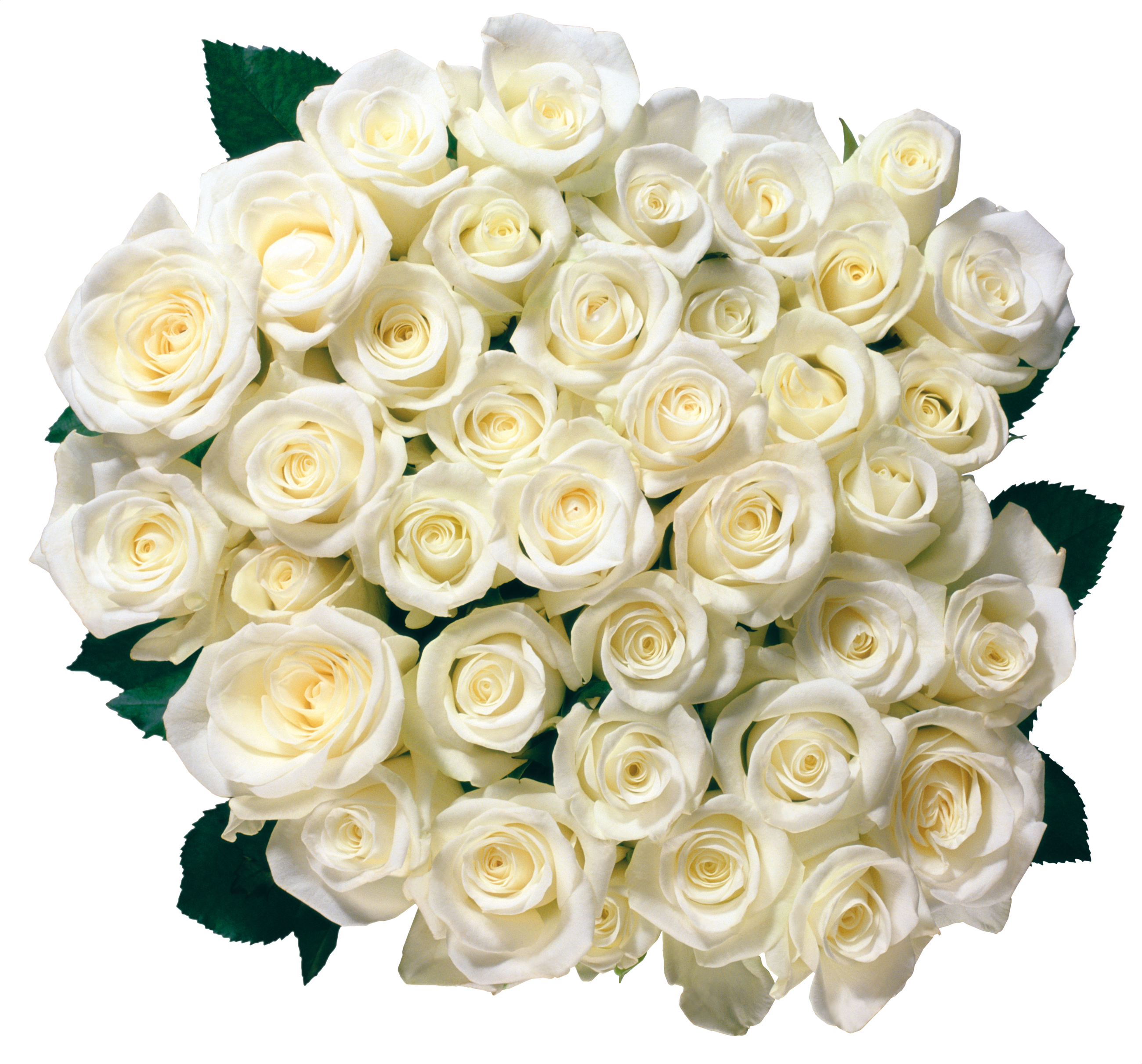 White Rose Bouquet Png (2600x2423), Png Download