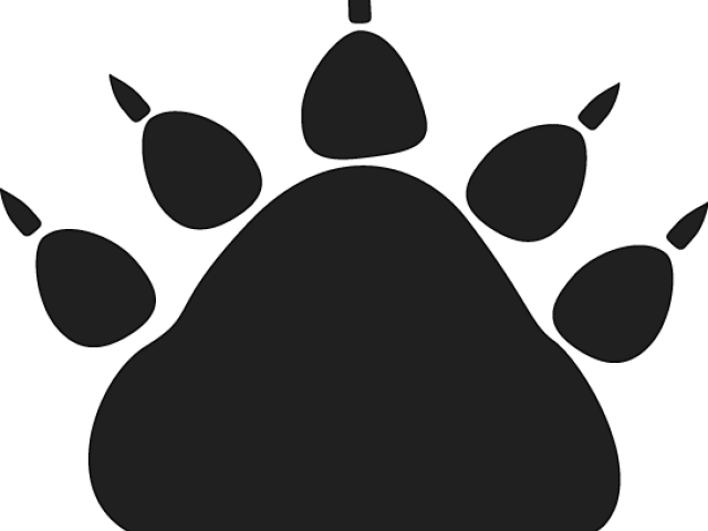 Paw Clipart Black Bear - Bear Paw No Background (640x480), Png Download