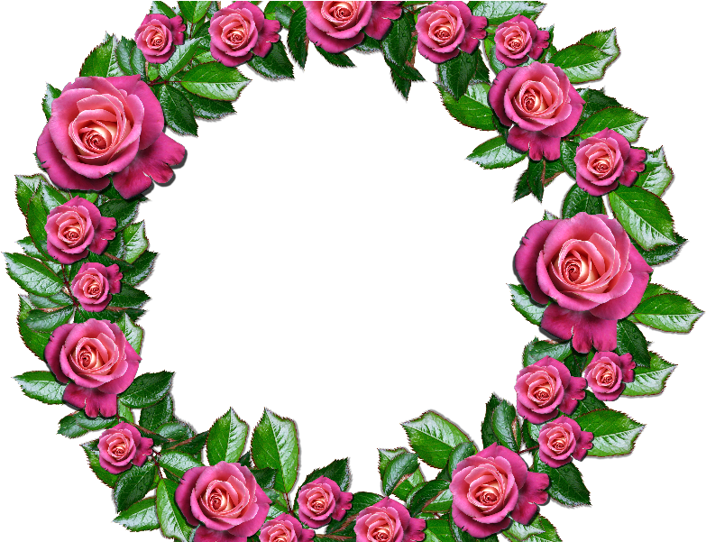 Floral Png With Roses And Leafs Nature - Floral Design (800x600), Png Download